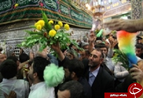 ضریح مطهر کریمه اهل بیت(س) گلباران شد