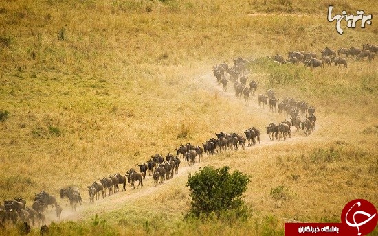 بهترین مکان&zwnj;ها برای سفر در تابستان
