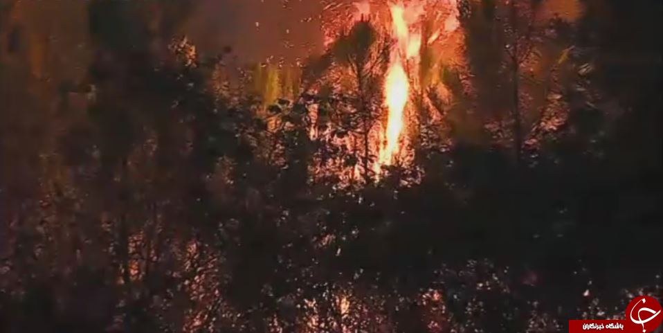 آتش&zwnj;سوزی در پرتغال باردیگر بالا گرفت