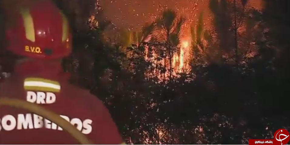 آتش&zwnj;سوزی در پرتغال باردیگر بالا گرفت