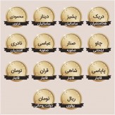 باشگاه خبرنگاران -واحد پولی ایران در گذر زمان +عکس