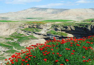 طبیعت بکر با دره&zwnj;های عمیق در روستای &laquo;قله زو&raquo; + تصاویر