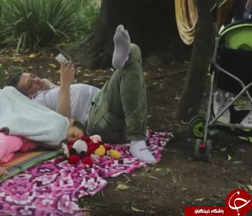 جشن روز جهانی تنبلی در کلمبیا+ تصاویر