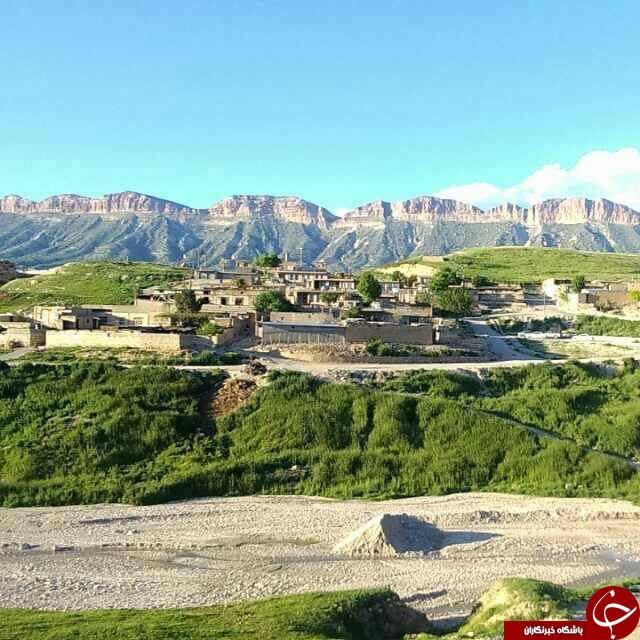 طبیعت بکر و سرسبز در 