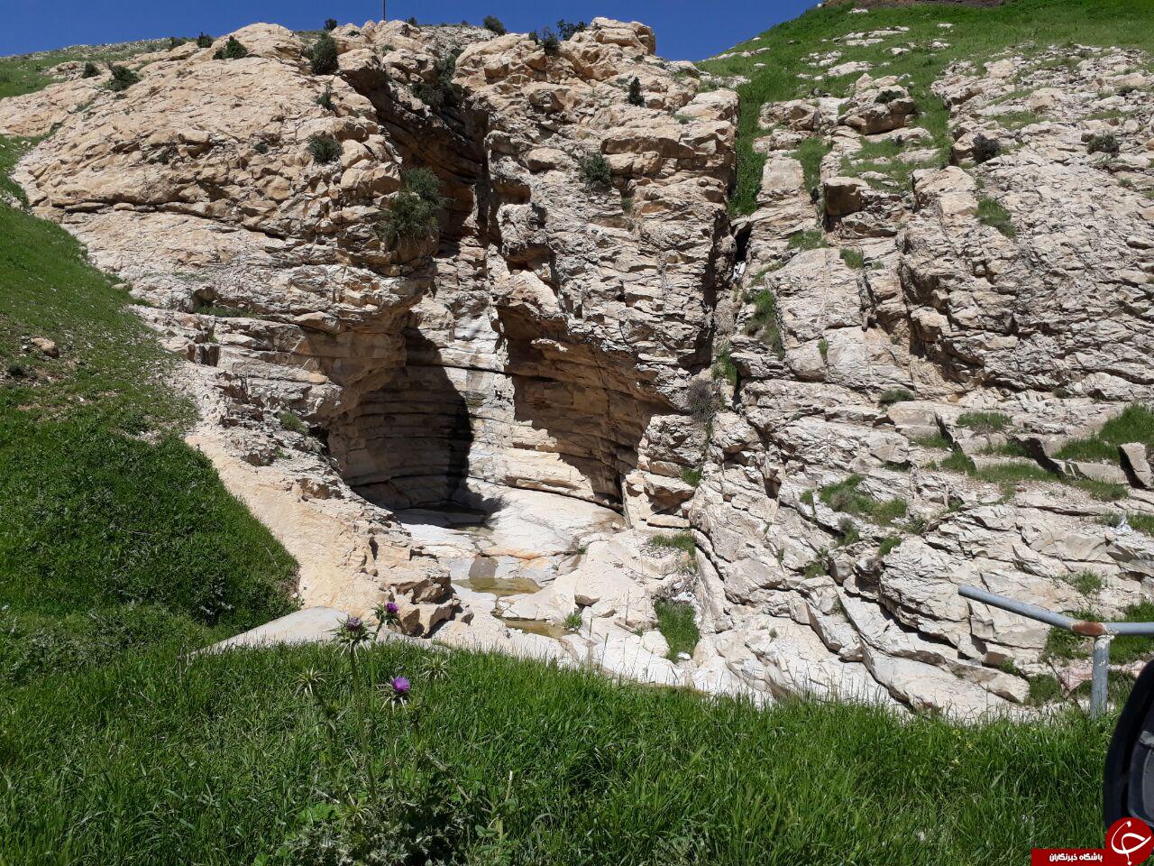 طبیعت بکر و سرسبز در 