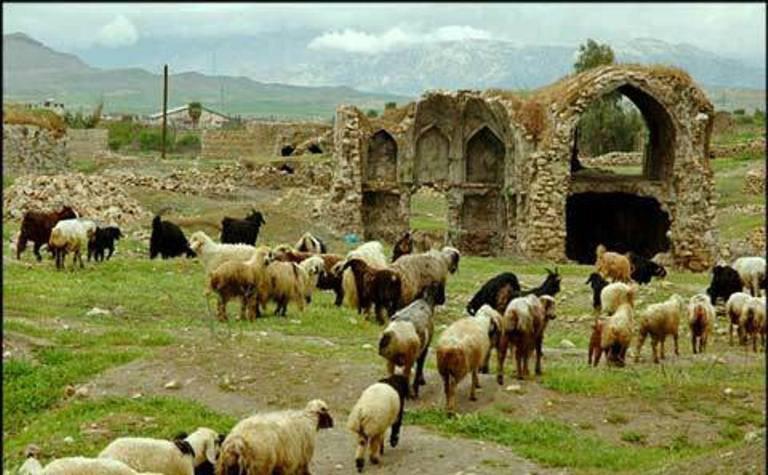 بلاد شاپور دهدشت، جولانگاه معتادان و احشام