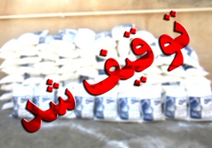 توقیف بیش از دو تن نمک غیر مجاز