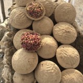 باشگاه خبرنگاران -روشی جالب برای تازه نگه داشتن انگور +عکس