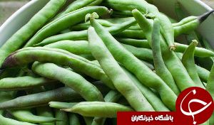 کشت لوبیا در راستای تغییر الگوی کشت
