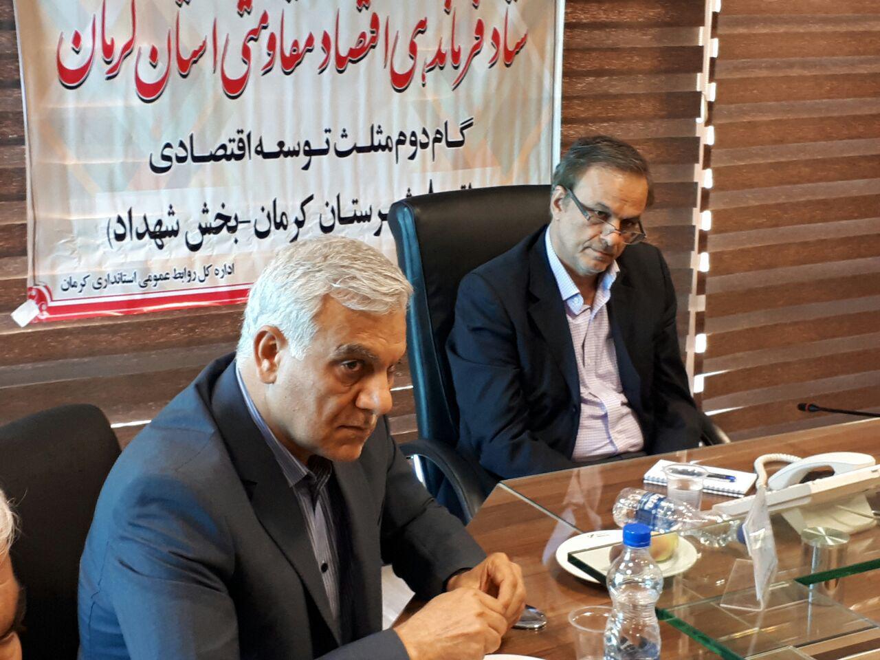 استراتژی اقتصاد مقاومتی در کرمان