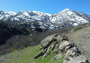 بسته