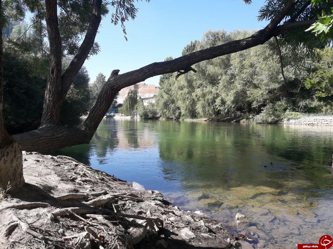 طبیعت دیدنی بوستان دولت آباد + تصاویر