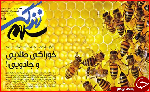 نیم صفحه نخست روزنامه&zwnj;های استانی؛