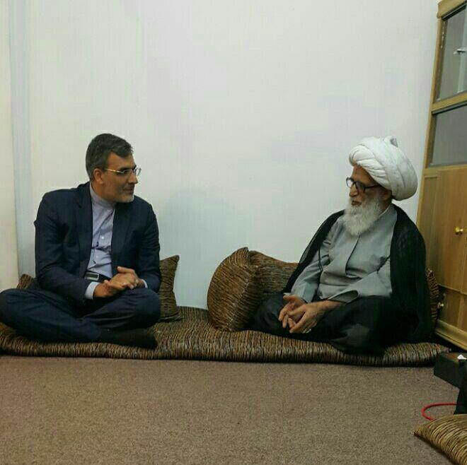 جابری انصاری با مراجع عظام تقلید در نجف دیدار کرد