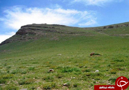 گشایش نمایشگاه بین&zwnj;المللی قطعات خودرو/بازپس گیری زمین&zwnj;های ملی بختگان/کشف زمین خواری میلیاردی