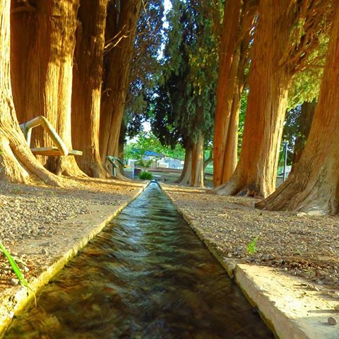روستای طرز با سرو&zwnj;های سربه فلک کشیده تاریخی