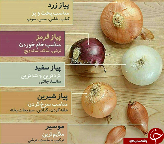 پیازها را بهتر بشناسید +عکس