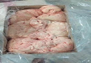 کشف چربی حیوانی قاچاق در میامی