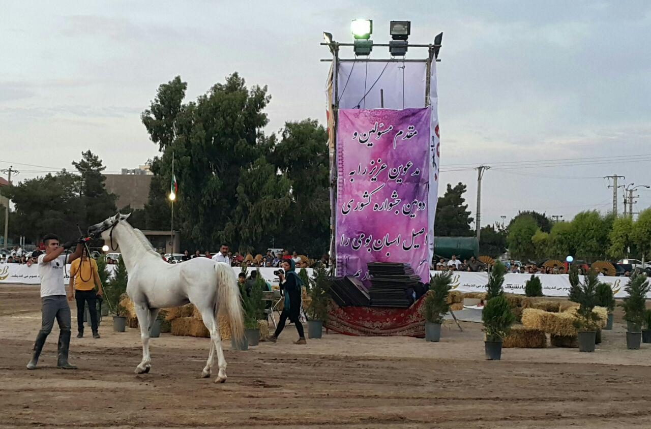جشنواره اسب های اصیل بومی ایران در سیرجان
