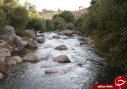تنگ براق فرشی زیبا با نقش و نگار طبیعت