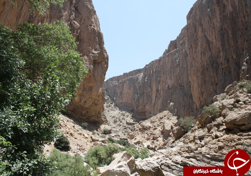 تنگ براق فرشی زیبا با نقش و نگار طبیعت