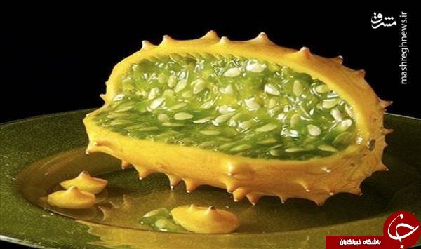 خیار آفریقایی دیده اید+عکس