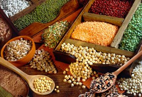 آخرین وضعیت تولید حبوبات در سال جاری/صادرات لوبیا در راه است