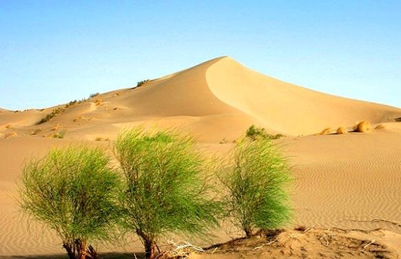 بیابان زایی؛آفتی که حیات زراعت و کشاورزی را تهدید می‌کند/ اقتصاد روستایی به کدام سو خواهدرفت ؟
