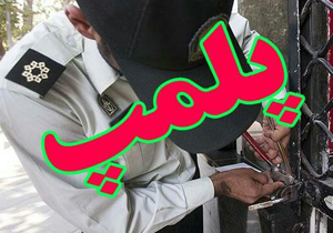 پلمپ ۲۴ واحد صنفی متخلف در لردگان