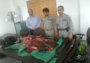 دستگیری شکارچی خوک در نور