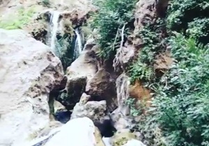 بسته
