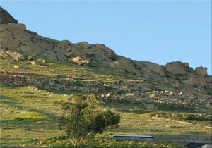 فسخ قرارداد ۴۶ هکتار از اراضی ملی دلفان