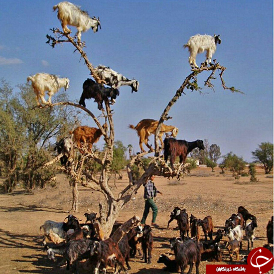 جاذبه توریستی عجیب کشور مراکش +عکس