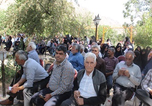 برگزاری جشواره آلبالو روستای طزرجان