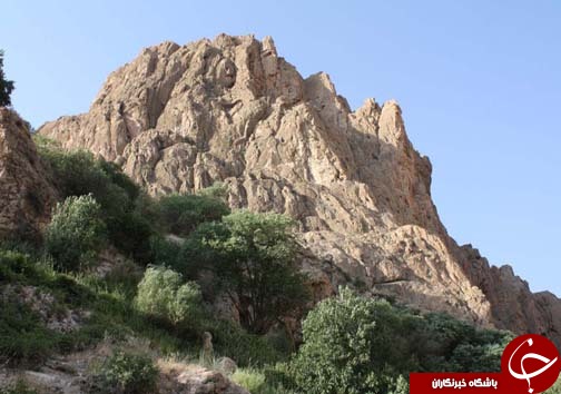 تنگ براق فرشی زیبا با نقش و نگار طبیعت + تصاویر