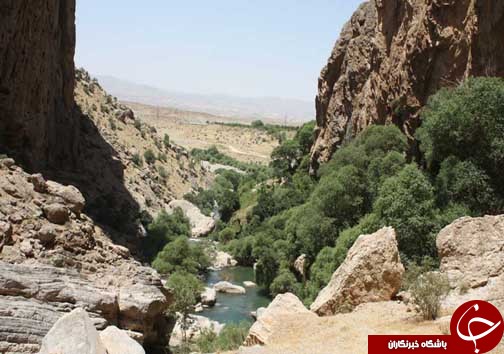 تنگ براق فرشی زیبا با نقش و نگار طبیعت + تصاویر