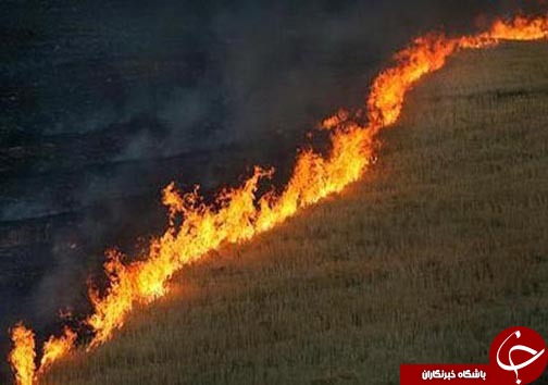نگاهی گذرا به مهمترین رویداد&zwnj;های شنبه ۷ مرداد مازندران