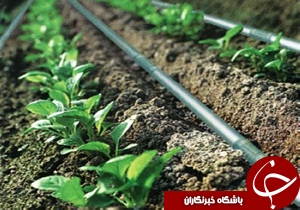 از سفر به قدیمی ترین سکونتگاه بشر تا صرفی جویی در مصرف آب + فیلم