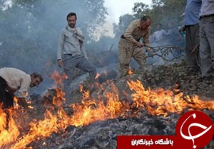 از سفر به قدیمی ترین سکونتگاه بشر تا صرفی جویی در مصرف آب + فیلم
