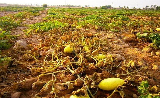 نگاهی به پر بیننده ترین اخبار روز گذشته در سمنان