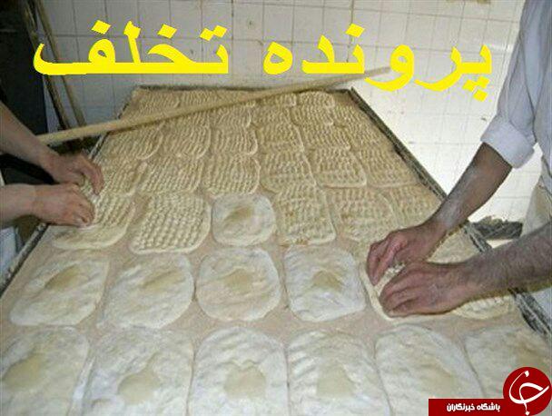 تشکیل 14 پرونده تخلف برای خبازی های شهرستان دلگان