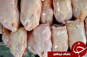 تولید سالانه چهار هزار تن گوشت مرغ در بخش مرکزی خاش