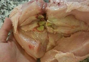 تکذیب شایعات در خصوص آلودگی گوشت مرغ