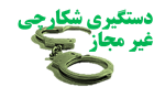 دستگیری شکارچی غیرمجاز در کلات