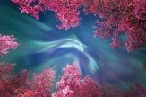 باشگاه خبرنگاران -تصاویر خارق‌العاده از آسمان شب