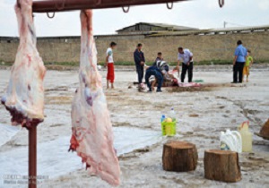 توزیع گوشت قربانی در بین مددجویان کمیته امداد