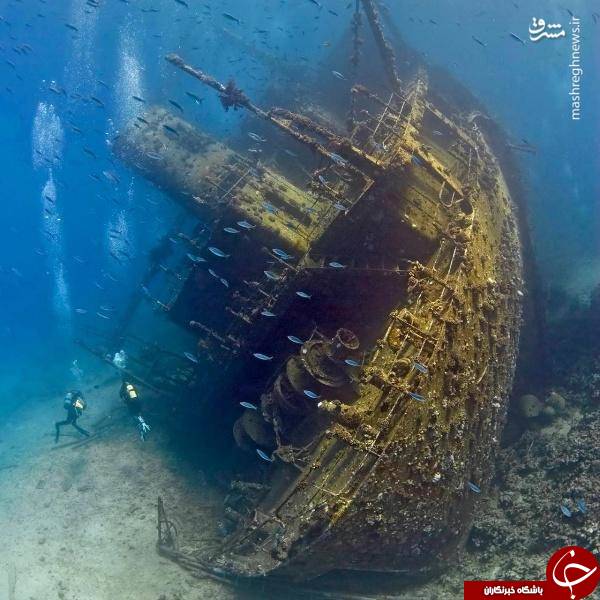 متروکه ولی جذاب+عکس