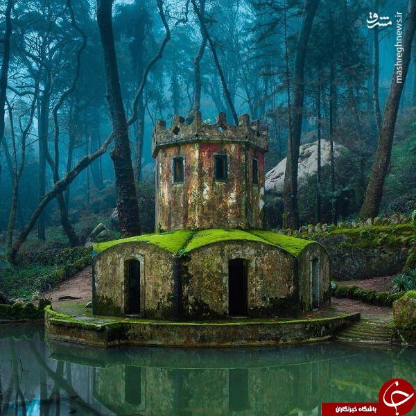 متروکه ولی جذاب+عکس