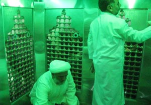 غبارروبی بارگاه امامزادگان فردوس توسط خبرنگاران