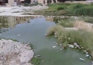برکه ای از فاضلاب در وجه آباد + فیلم